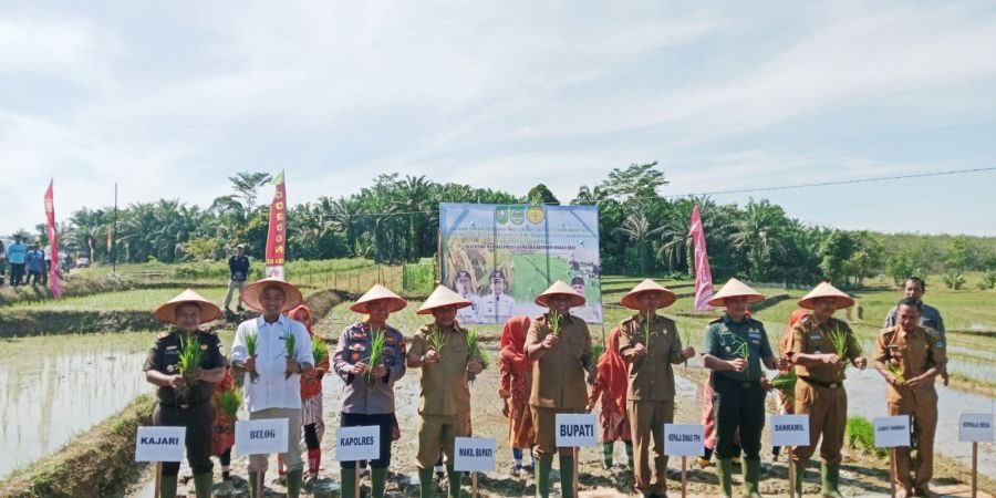 desa pasir maju desa pasir maju